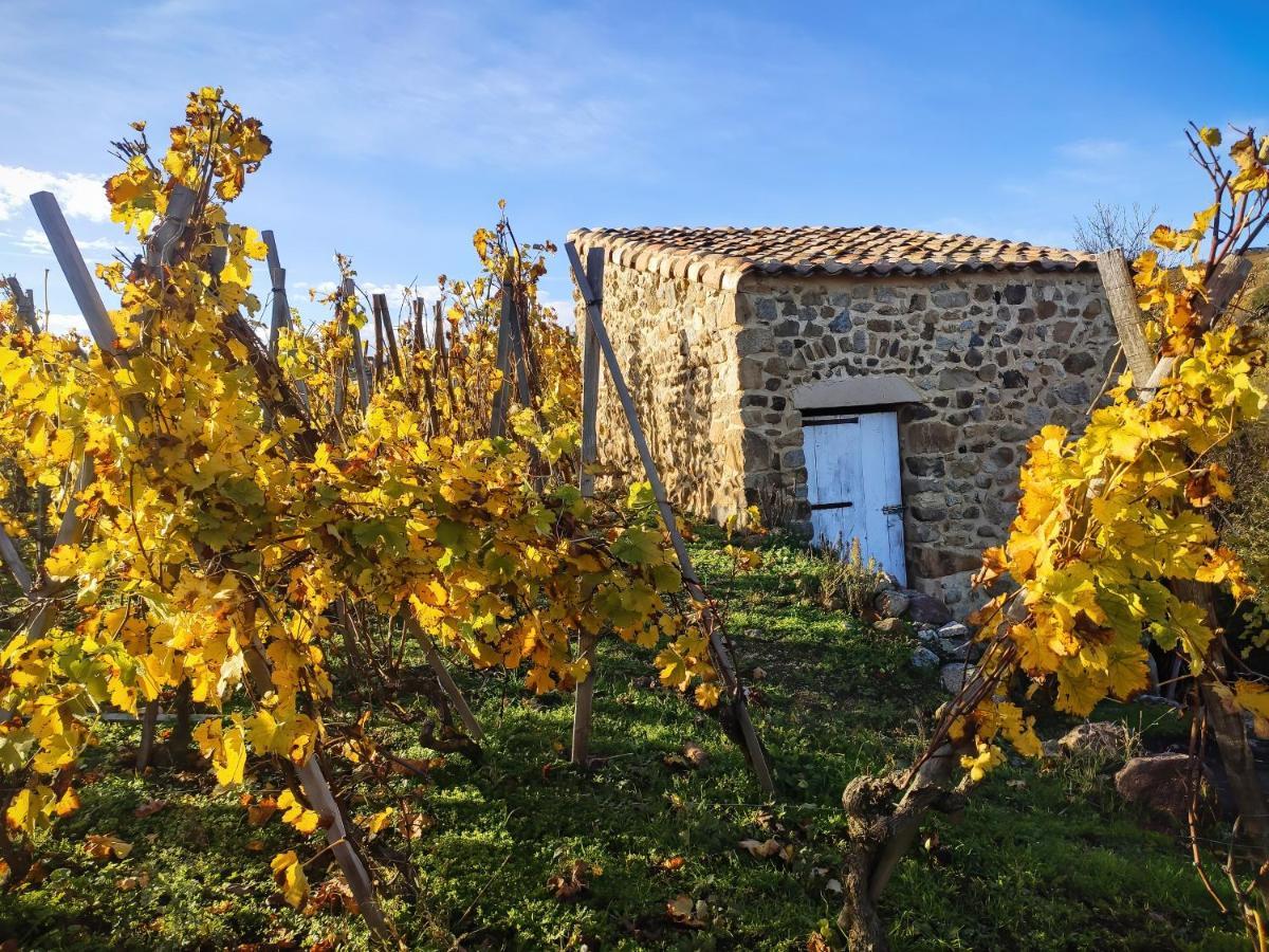 Condrieu Comme A La Maison Eksteriør billede